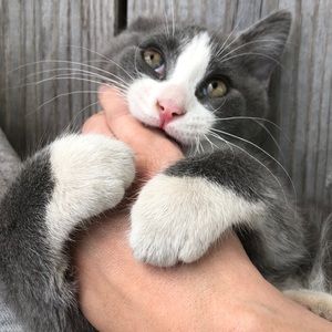 Meet your Posher, Erin